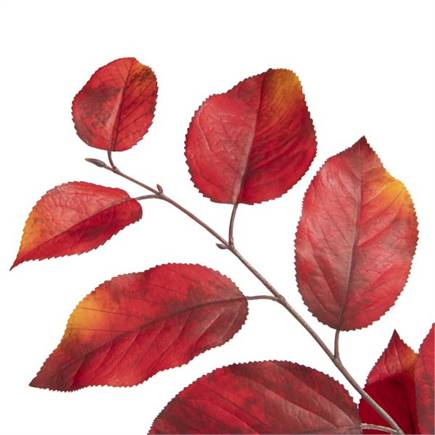 Coco Maison Salal Leaf kunstbloem H75cm